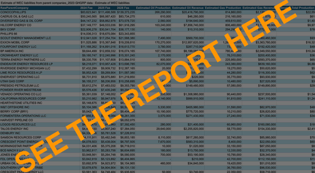 see the report